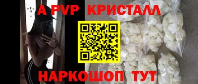 spice Камышлов