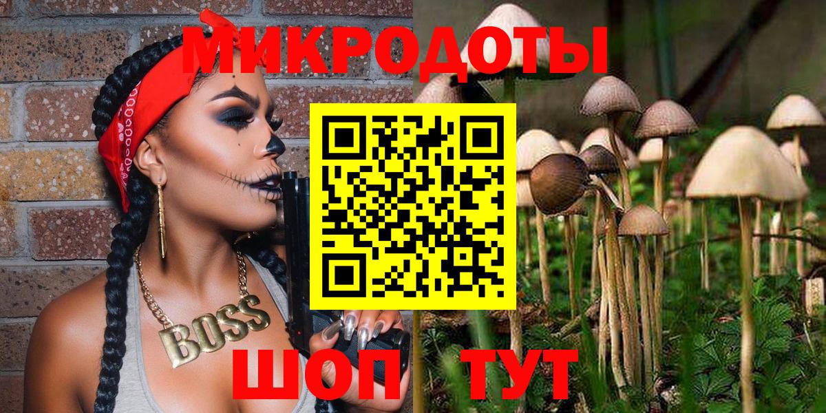 Галлюциногенные грибы Psilocybe  дарнет шоп  Псилоцибиновые грибы мухоморы  Курчатов  Вход с VPN 