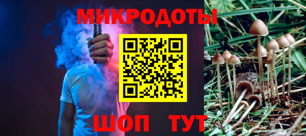 Псилоцибиновые грибы мицелий Курчатов